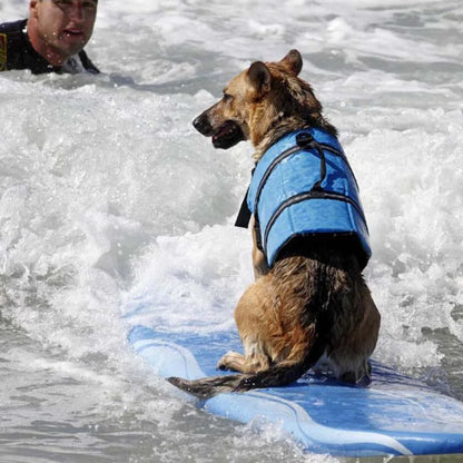 Dog Life Vest - Bonobo Happy Paws