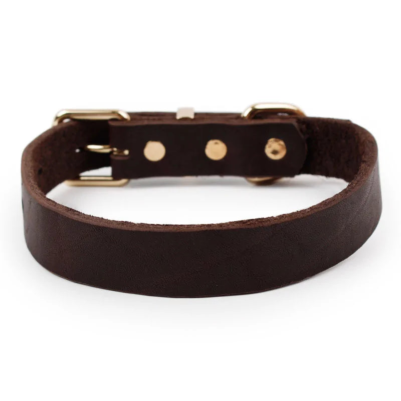 Leather Dog Collar - Bonobo Happy Paws